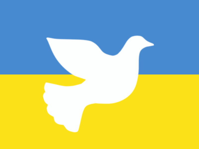 Read more about the article Birdies for Ukraine