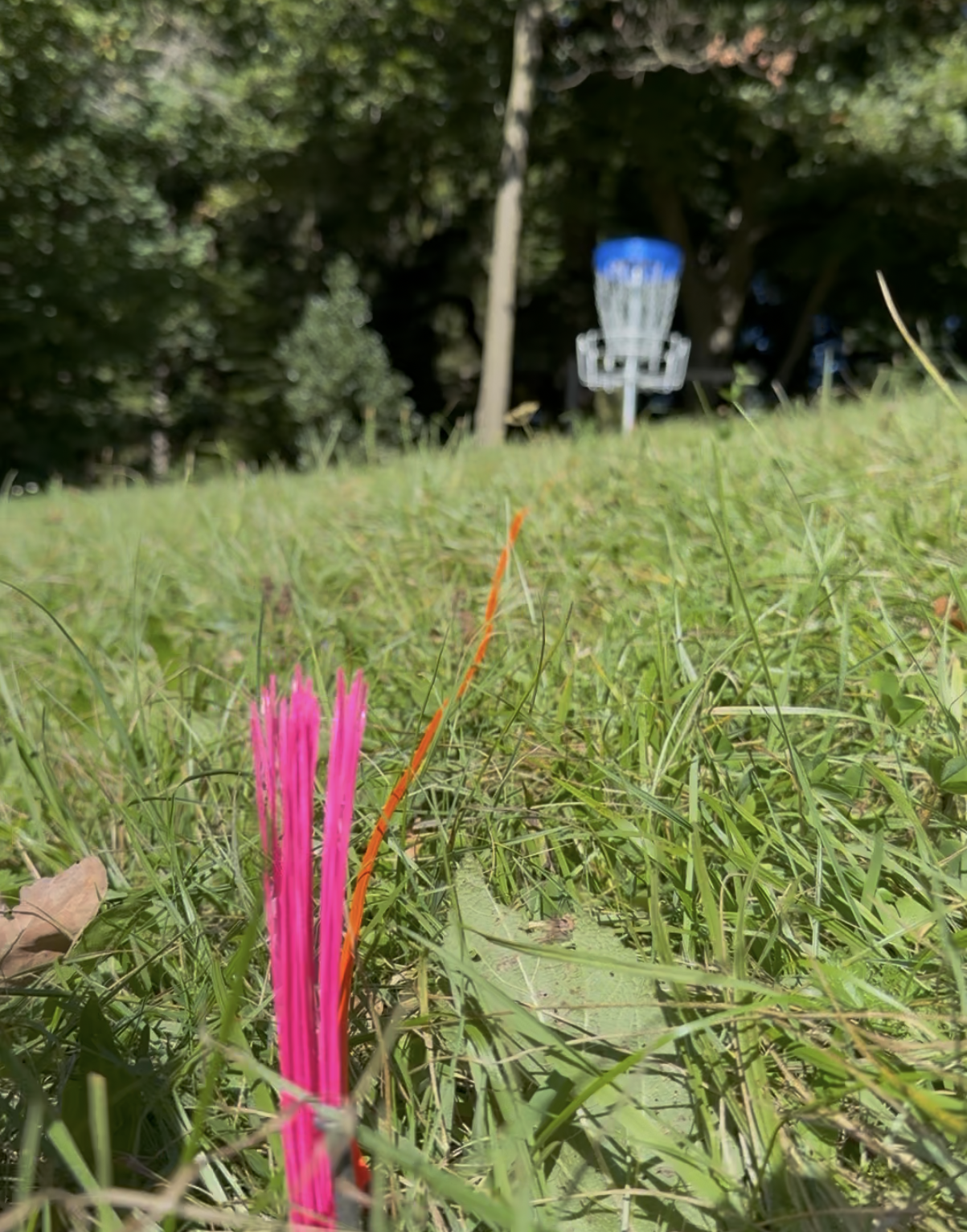 Mehr über den Artikel erfahren #stable Open 2025 presented by Discmania